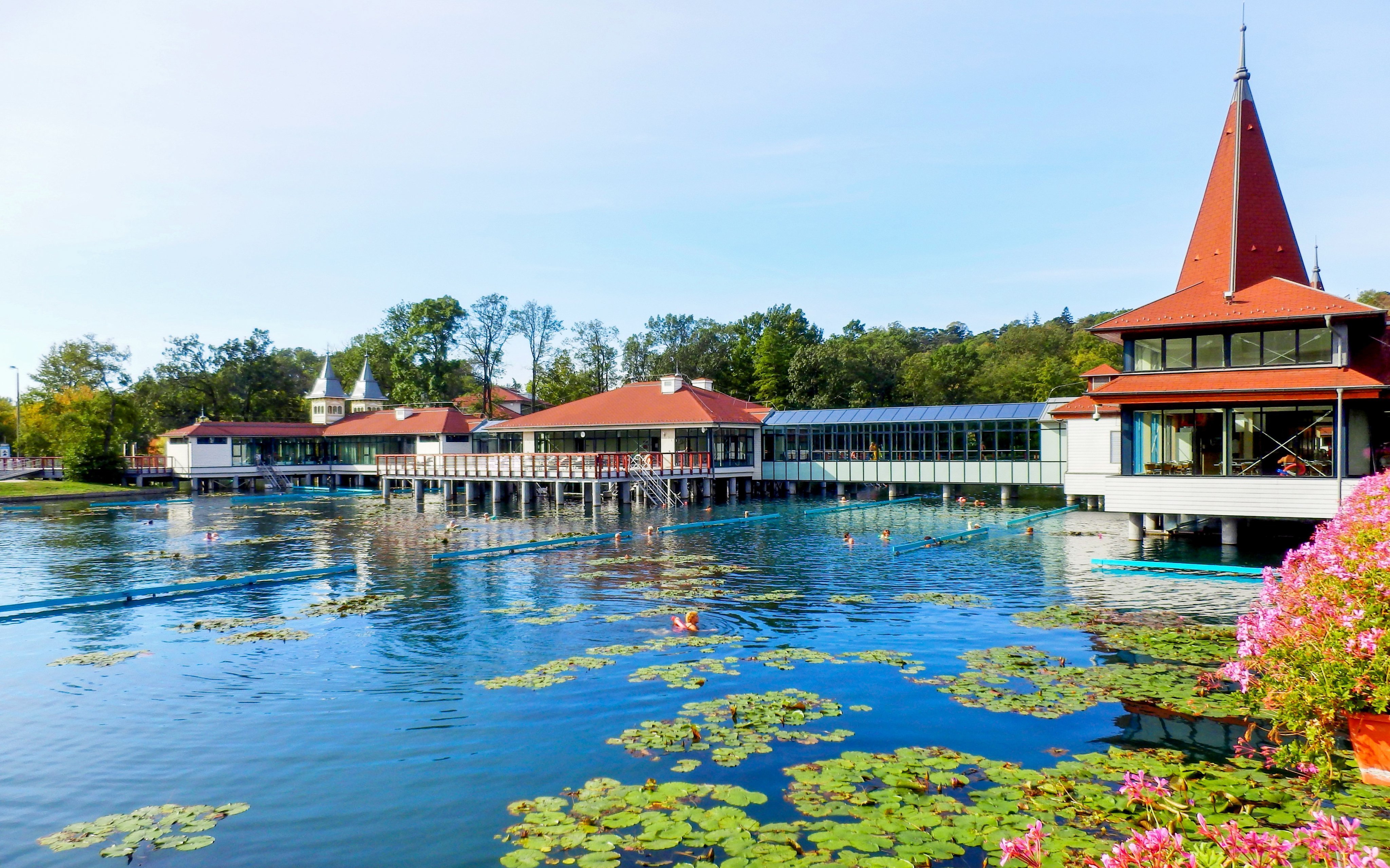 Hévíz w Hotelu Erzsébet *** z obiadokolacją i wellness (jacuzzi, sauna) + wstęp do jeziora termalnego
Hévíz w Hotelu Erzsébet *** z obiadokolacją i wellness (jacuzzi, sauna) + wstęp do jeziora termalnego