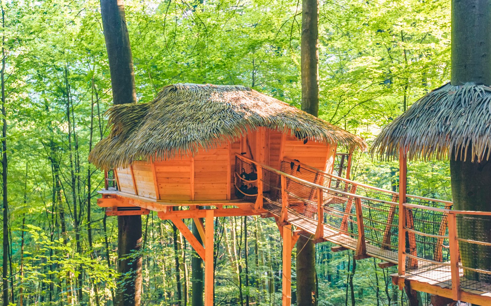 Trencianske Teplice: Wyjątkowy pobyt na łonie natury w domku na drzewie dla maksymalnie 4 osób + śniadanie
Trencianske Teplice: Wyjątkowy pobyt na łonie natury w domku na drzewie dla maksymalnie 4 osób + śniadanie