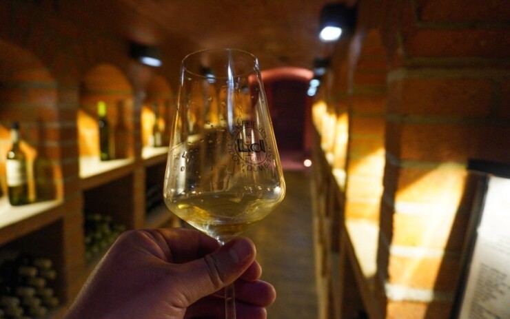 Osobiście zweryfikowane: Recenzja pobytu na Slovácku w Hotelu Lidový dům *** z dobrym jedzeniem i winem