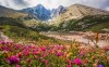 Wspaniałe wakacje w Tatrach Wysokich