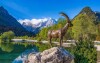 Piękna przyroda w Słowenii, Park Narodowy Triglav