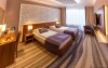 Pokój Premium, Hotel Avanti ****, Brno