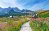 Polskie Tatry będą na wyciągnięcie ręki, Hotel Logos ***