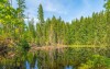Park Narodowy Szumawa i okolice