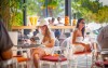 Hotel Aminess Maestral ****, Novigrad, Chorwacja