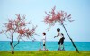 Novigrad, Istria, Chorwacja