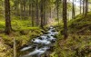 Natura, Karkonosze