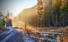 Tatry Niskie