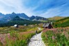 Polskie Tatry