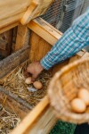 Na zewnątrz, Bungalow i mały domek na wsi Liptów, Liptów