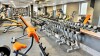 Fitness, Parkhotel Plzen ****