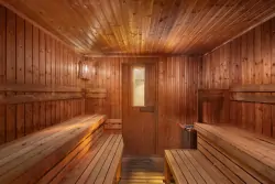 Sauna, Spa Hotel Savoy ****, Franciszkowe Łaźnie