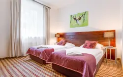 Pokój typu Standard z 2 łóżkami pojedynczymi, Boutique Eco Hotel Sasanka