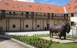 Park przyrody w czeskiej Kanadzie: Niezwykły pobyt w Bison Ranch Rožnov ze śniadaniem lub obiadokolacją + wino