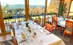 Restauracja, Hotel Podlesí ***, Wysoczyna
