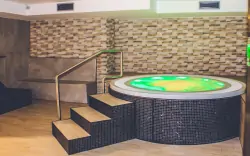 Wellness, hotel Alf ***, Borovany, południowe Czechy