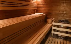 Wellness, hotel Alf ***, Borovany, południowe Czechy