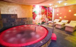 Pobyt w eleganckim Zamku Petrovice **** w pobliżu Ostrawy ze śniadaniem i wspaniałym wellness z 6 saunami