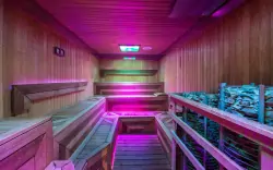 Wellness, Therma Nea Dunajská Streda