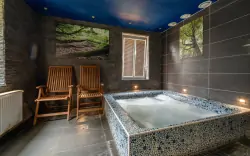 Wellness, Schronisko Orlík, Pec pod Sněžkou