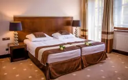 Przestronne pokoje Standard, Hotel Spa Medical Dwór Elizy