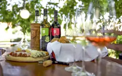 Degustacja wina, Penzion a vinařství Dobrovolný, Znojmo