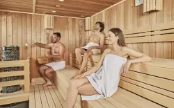 Centrum odnowy biologicznej, Hotel Pancho ****, Felcsút, Węgry