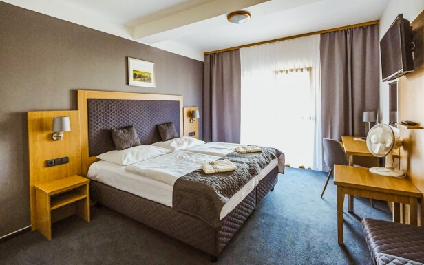 Pokój, Hotel Rustikal ***, Hustopece