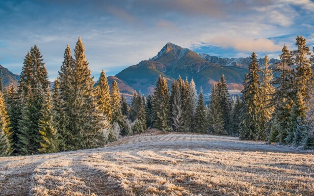 Wysokie Tatry