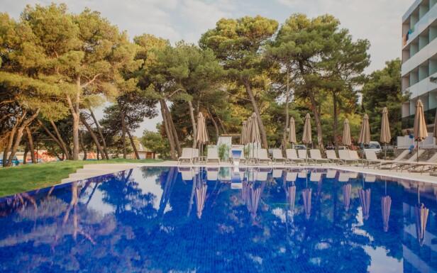 Basen zewnętrzny, Villa Arausa ***, Vodice, Chorwacja