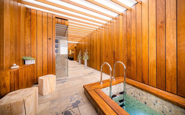 Centrum Wellness, Hotel Akademie Naháč ****, Chocerady