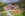 Alexandra Wellness Hotel ***, Niskie Tatry
