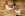 Wellness, Alexandra Wellness Hotel ***, Niskie Tatry