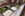 Restauracja, Hotel Sonnhof Rauris ***, Tatry Wysokie, Austria