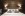 Studio Deluxe, Arietes Marmont Resort ****, Tatry Wysokie