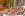 Centrum wellness, Kontakt Wellness Hotel ****, Tatry Wysokie