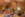 Wellness, Robenstein Aktivhotel & SPA ****, Zwiesel