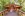 Wellness, Robenstein Aktivhotel & SPA ****, Zwiesel