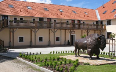 Park przyrody w czeskiej Kanadzie: Niezwykły pobyt w Bison Ranch Rožnov ze śniadaniem lub obiadokolacją + wino