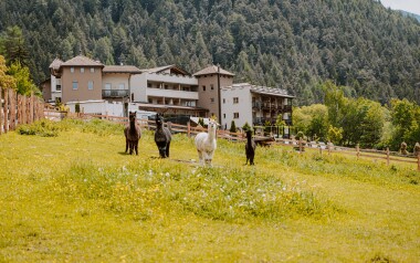 Wakacje dla całej rodziny w Południowym Tyrolu: 4* Hotel Bergschlössl ze śniadaniem/obiadokolacją i wellness 