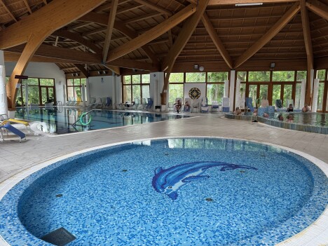 Wellness, Thermal Hotel Tengelic ***, Felsőtengelic, Węgry