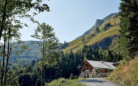 Mooslehenalm by Grossarler Hof, Salzburg, Austria