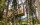 My Arbor - Dolomity *****, Brixen, Włochy