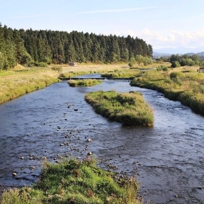 Biały Dunajec