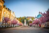 viragba_borult_erzsebet_ter_220427_hcs-9