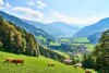 Alpy Zillertalskie, Austria
