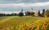 Szlak winny w Jerozolimie, Słowenia