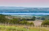 Mikulov, południowe Morawy, wino, winnice
