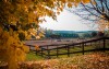 Jesienna farma koni, K-Triumf Resort ****, Velichovky, Czechy