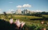 Alpe di Siusi, Tyrol Południowy, Włochy